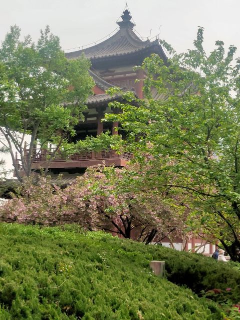 最新】楽遊原 - チケット、営業時間、口コミ、写真 [2026年] Trip.com