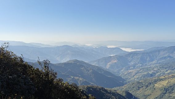 Jinshan Virgin Forest