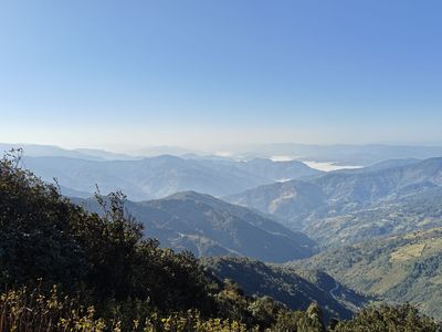Jinshan Primitive Forest
