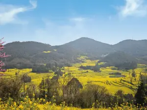 qu jing shi · luo ping you cai hua hai
