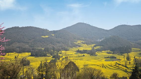 qu jing shi · luo ping you cai hua hai