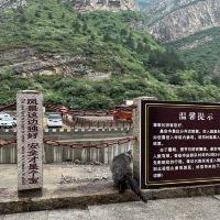 評論圖片 4