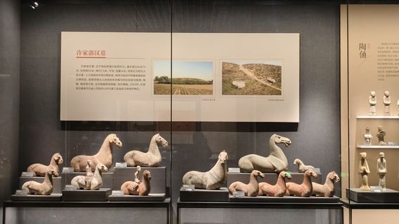 zhao xian bo wu guan