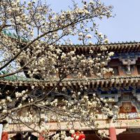 評論圖片 5
