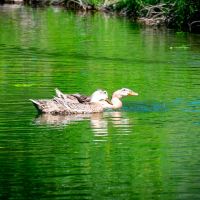 評論圖片 6