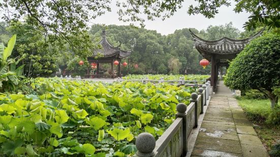 荻港的民居大多沿水而建，河道交錯縱橫。每條小巷，都充盈着古村