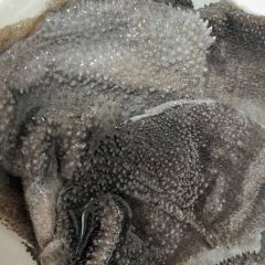 火锅批发城 User Photo