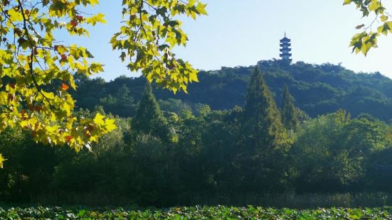 藏身于诸几城南之隅，苎萝山前、浣溪沙畔。夏至一池荷，冬来一亭