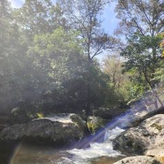 枫火人家特色民宿 User Photo