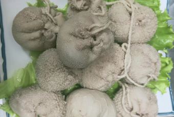 塞上羊莊（塞上羊莊飯店）用戶圖片