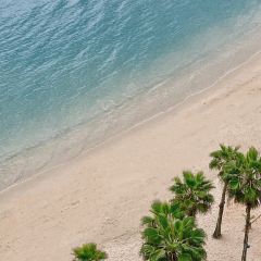 小徑灣艾美酒店·北緯22大堂吧張用戶圖片