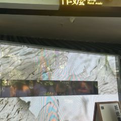 Grandma's Handmade Drinking·Treasures (Shanghai Xintiandi Branch) User Photo