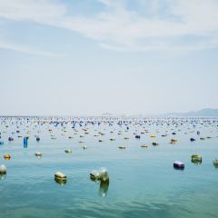 渔舟畅晚_出海捕鱼 User Photo