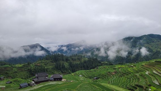 liang xiang ti tian