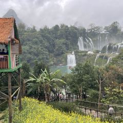 观瀑稻田咖啡时光集 User Photo