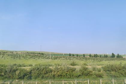 希拉穆仁(召河)牧民家娜拉餐包