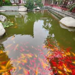 西安华清御汤酒店·御膳苑 여행 사진