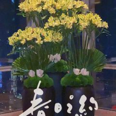 CLUB JIN MAO User Photo