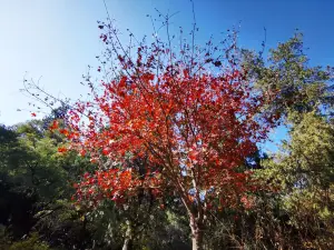 베이징 원자이허 공원