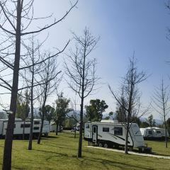 青枫浦餐厅 User Photo