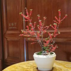 福州悦华酒店(西湖公园店)·华苑中餐厅·闽菜创新 User Photo
