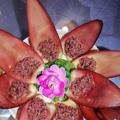 墨江哈尼一家人饭店(双胞大道店) User Photo