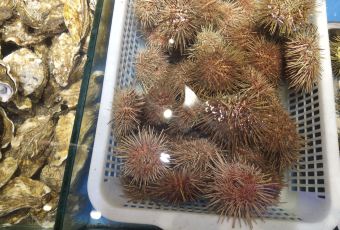 南山小漁村海鮮大排檔（星海店）張用戶圖片