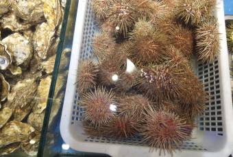 南山小漁村海鮮大排檔（星海店）張用戶圖片