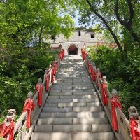 評論圖片 1