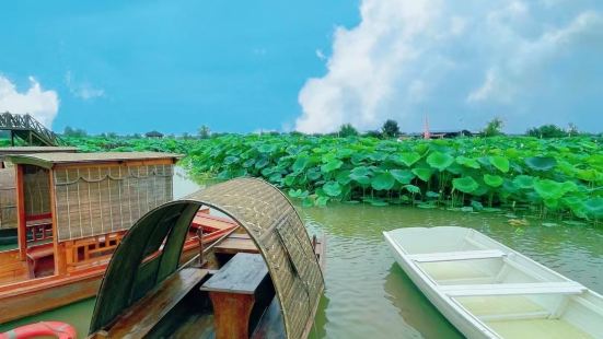 今日参觀邛崍（qiong  lai)竹溪湖這個地方是中國最大