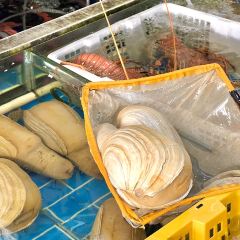 LU JIANG YI HAO User Photo