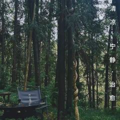 桃仚居張用戶圖片