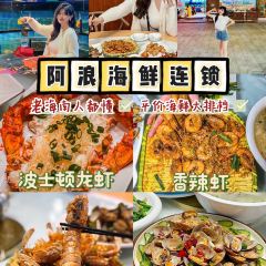 ALANGHAIXIAN User Photo