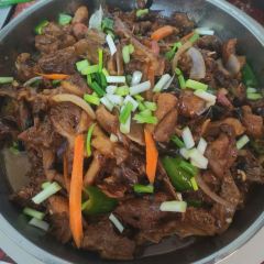 树上土鸡 User Photo