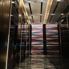 Niccolo Kitchen User Photo