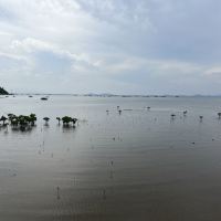 評論圖片 8