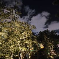 評論圖片 7