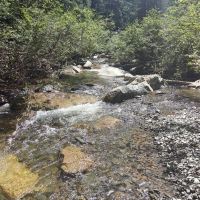 評論圖片 3