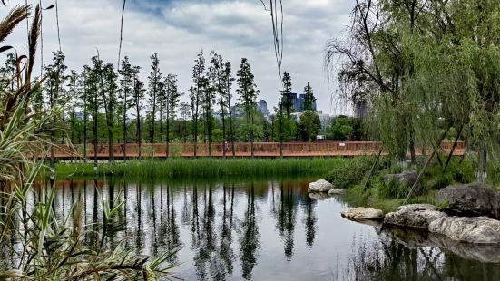 锦城湖湿地公园，位于成都市高新区，园内干净舒适，湖面宽阔，湖