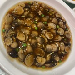 HeJi XiaoCai (Xin DongYa) User Photo