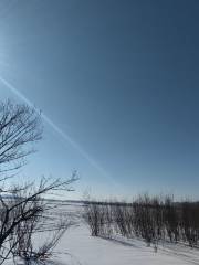 Парк водно-болотных угодий Красного моря