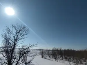 Парк водно-болотных угодий Красного моря