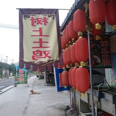 树上土鸡 User Photo