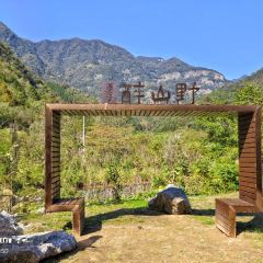 石台醉山野农家乐园 User Photo