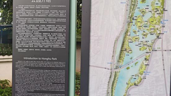 这是深圳老牌的公园，它在闹市之中，有上百亩的水面，培育了不少