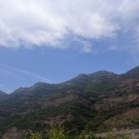 評論圖片 5