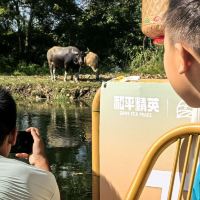 評論圖片 7