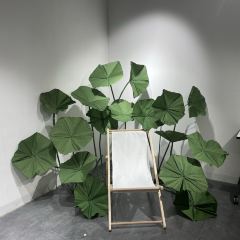 黄闯闯与何创创 User Photo