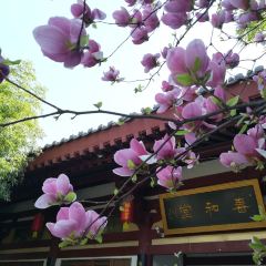 Tang Dynasty Art Garden Hotel Xi'an Shanxi Guan Fu Cuisine User Photo