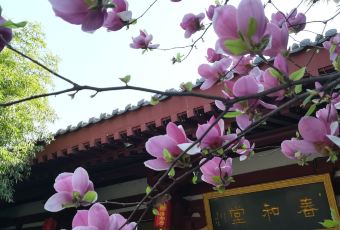 西安大唐博相府飯店（大雁塔大唐不夜城店）·陝西官府菜張用戶圖片